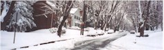 snow1