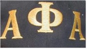 apalogo.jpg (6959 bytes)