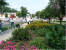 IMG_0333.jpg (85124 bytes)