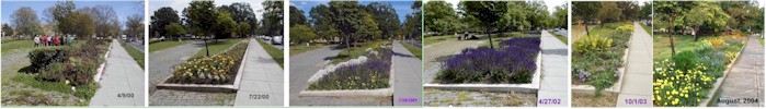 beforeafter4.jpg (86694 bytes)